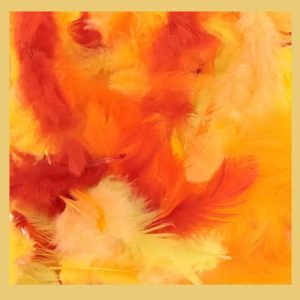 Πούπουλα φθινοπωρινα